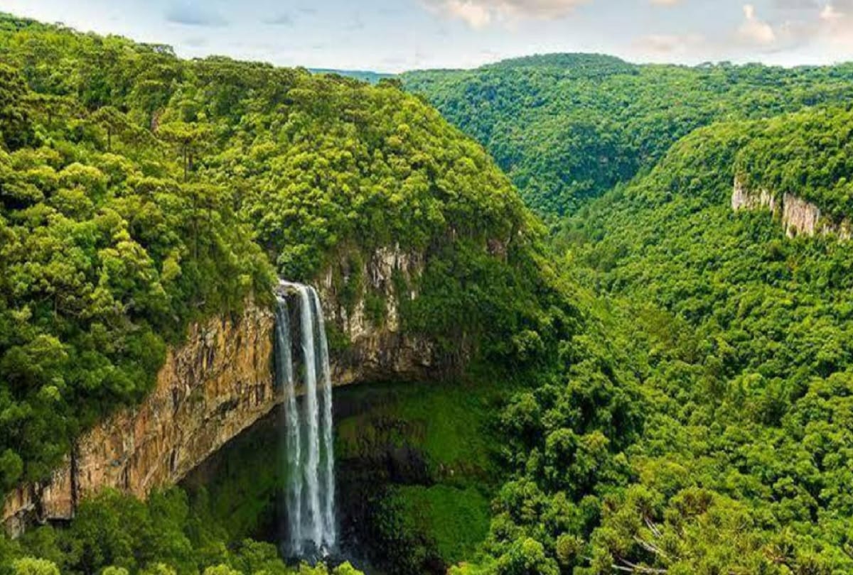 World nature conservation day 2021 theme Know history and importance of this day