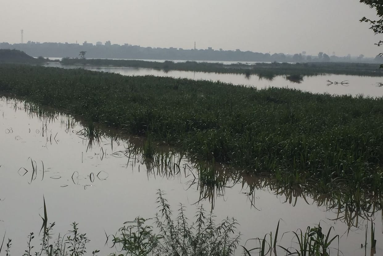 yamuna flud