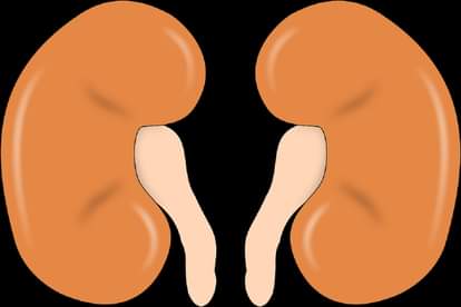 these body symptoms prove that your kidney going to be fail