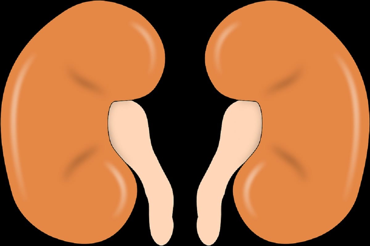 Kidney transplant by robotic technique in SGPGI.