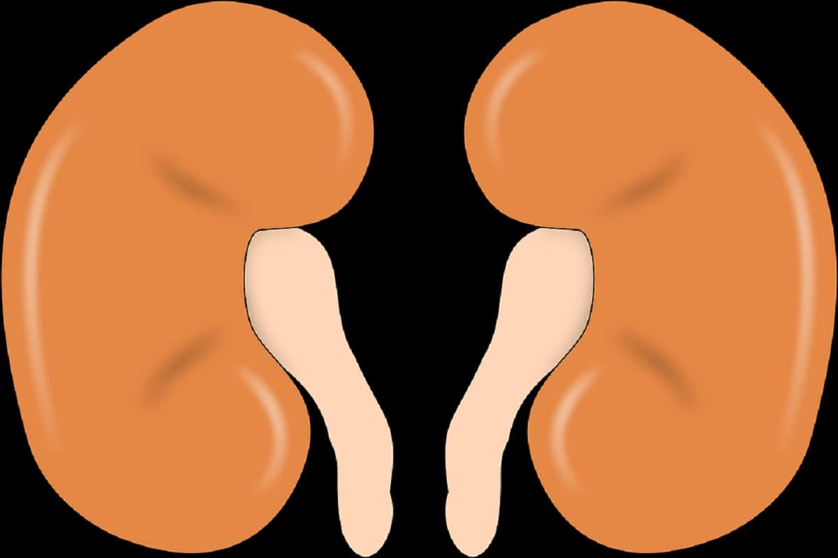 holding urine for long time cause harmful diseases