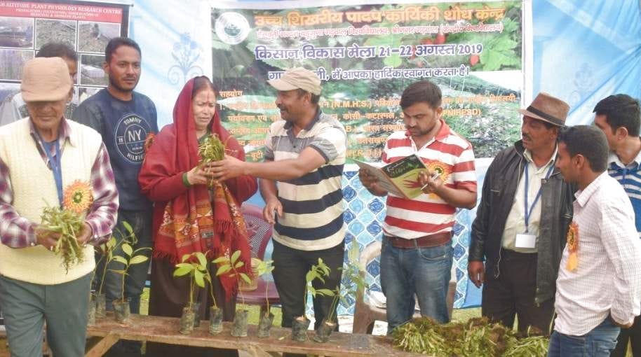 Basanti - bearer of fair culture of rural areas