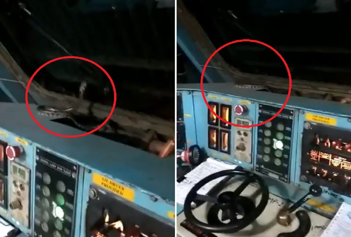 2.5 meter long Snake found in a Train Engine loco pilot shocked to see video viral