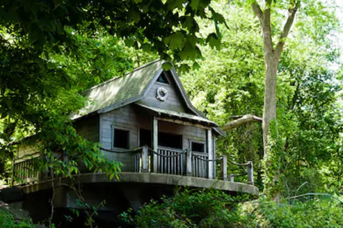 top 5 best tree houses in india where you can stay for adventure
