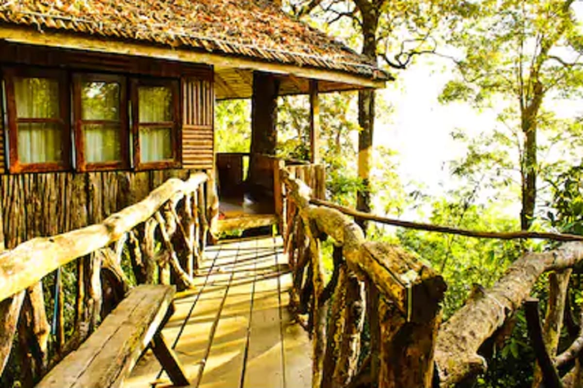 top 5 best tree houses in india where you can stay for adventure