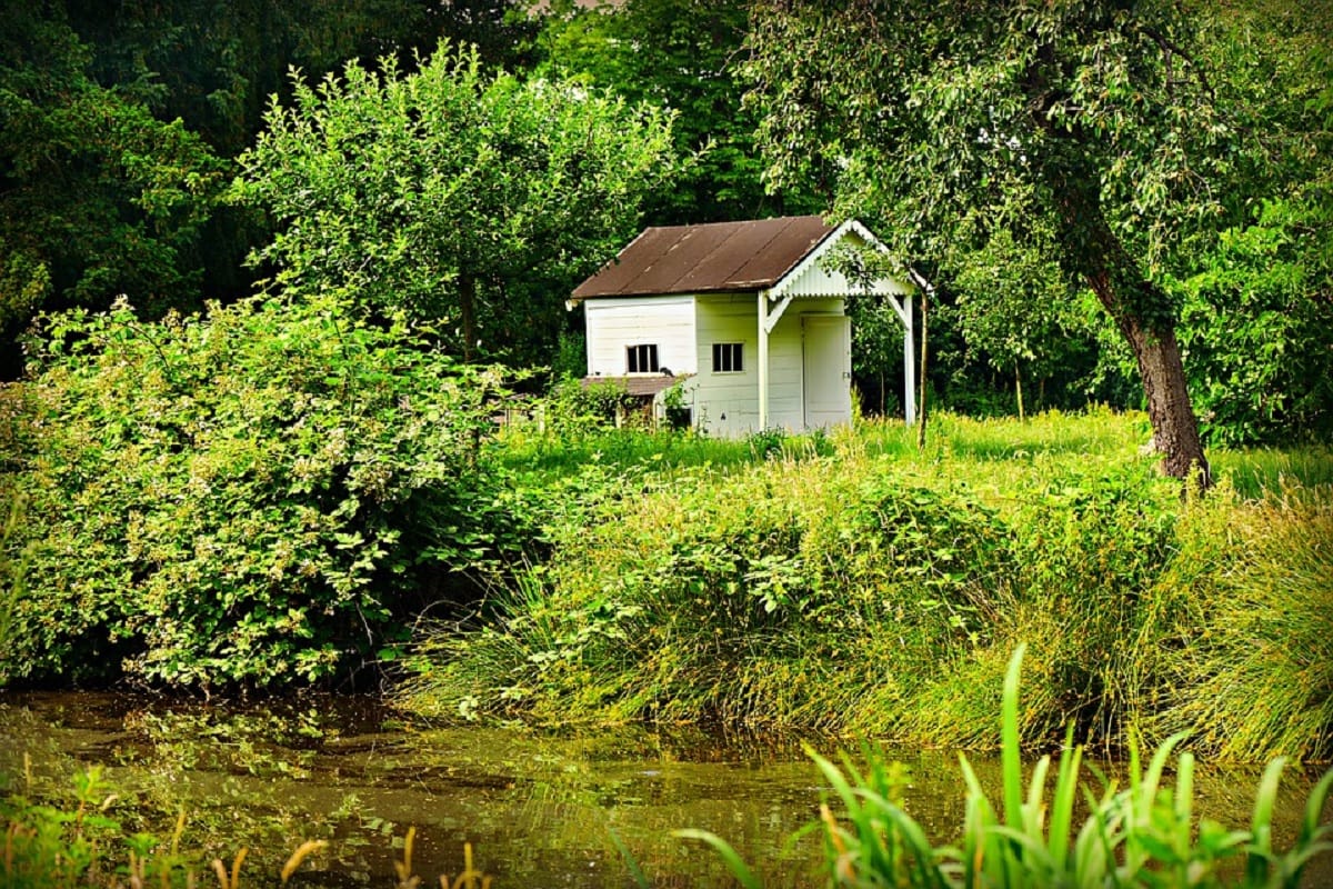top 5 best tree houses in india where you can stay for adventure