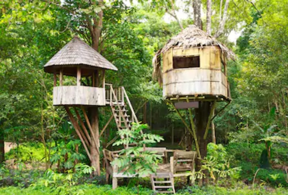 top 5 best tree houses in india where you can stay for adventure