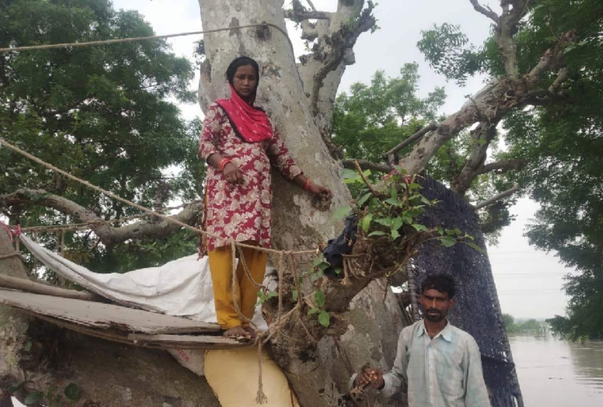 flood in delhi yamuna river pregnant lady climb tree save life for whole night with family rescued