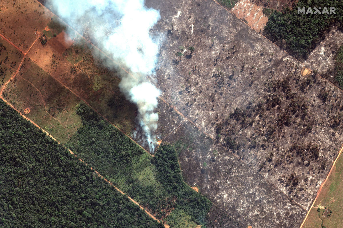 Brazil sent army to deal with Amazon forest fire, America also ready to help