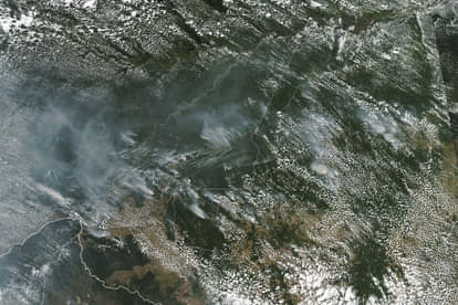 अंतरिक्ष से भी दिख रही अमेजन के जंगलों में लगी आग