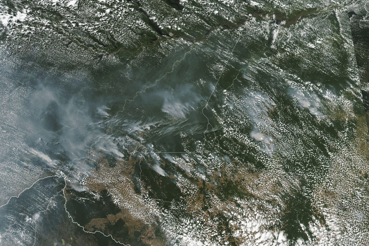 Amazon forest is full of mysterious creatures Amazon rainforest fires are burning at a record rate