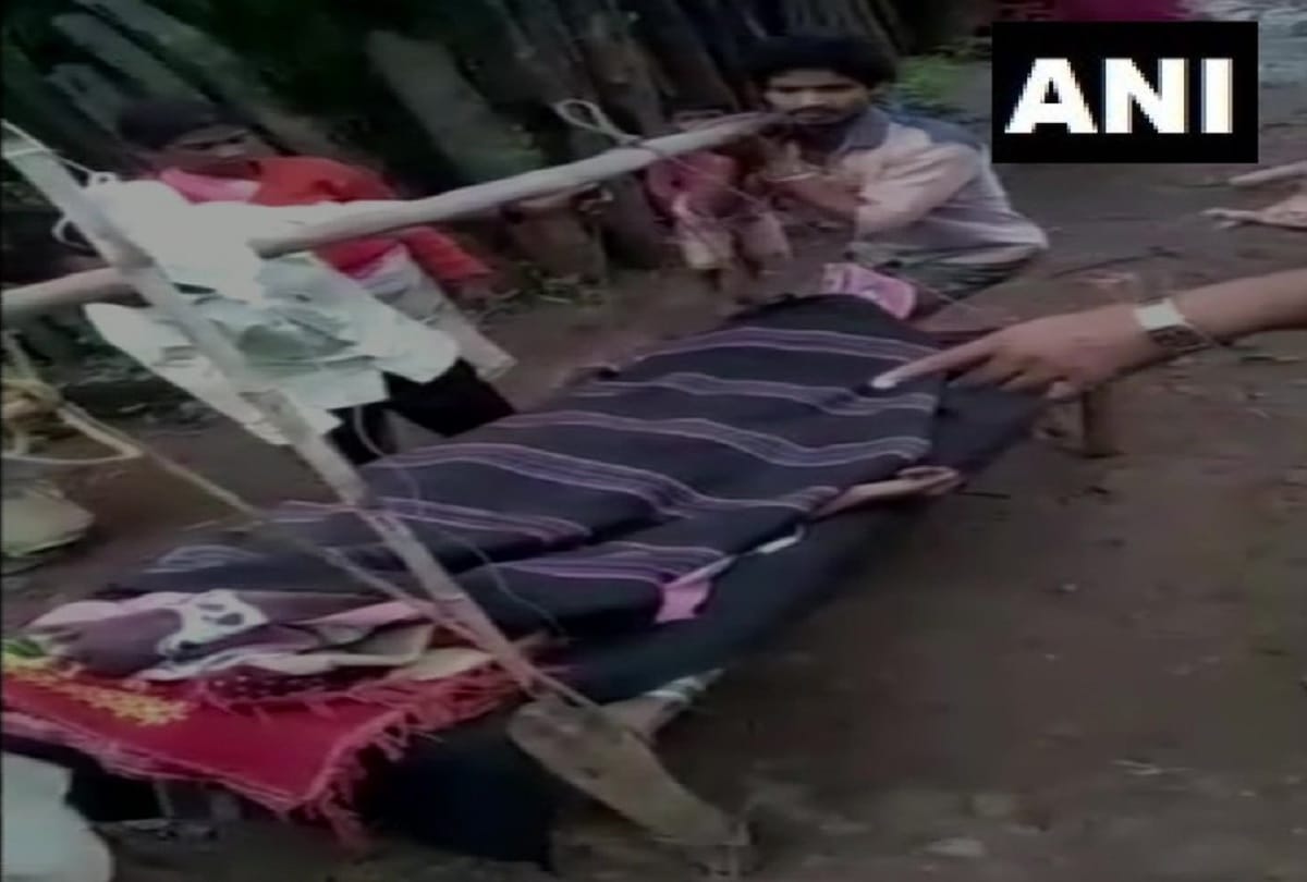 Chhattisgarh: Health Dep't made health camp for Baiga tribals living in jungle of Kawardha District