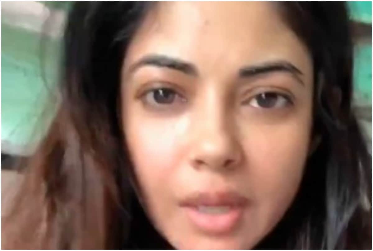 Priyanka Chopra cousin Meera Chopra shared her sorrow over flop in bollywood