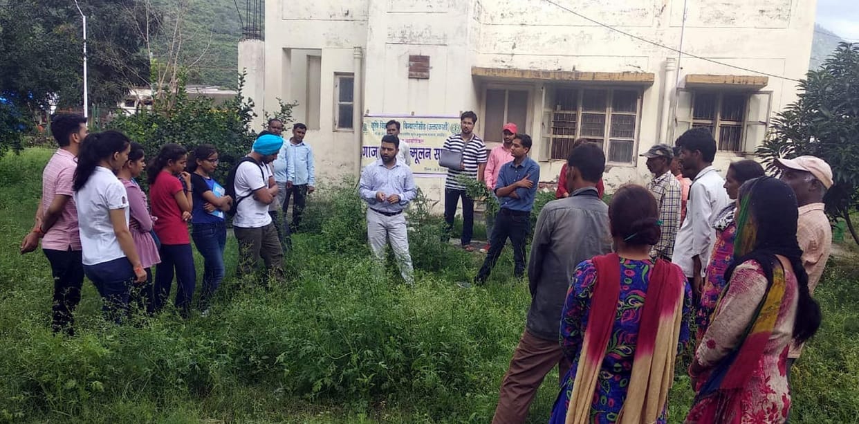 Krishi Vigyan Kendra launched carrot weed eradication campaign