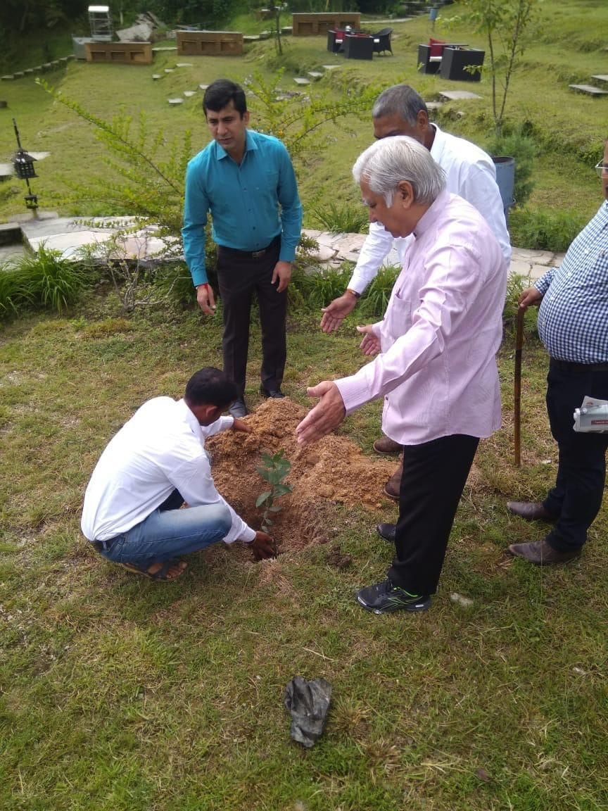 plantation is necessary to save the beauty of hills