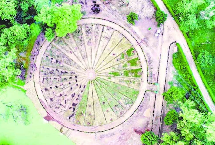 Unique Forest Is Being Prepared In Chandigarh