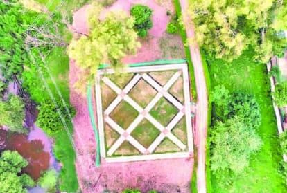 Unique Forest Is Being Prepared In Chandigarh