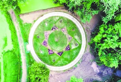 Unique Forest Is Being Prepared In Chandigarh