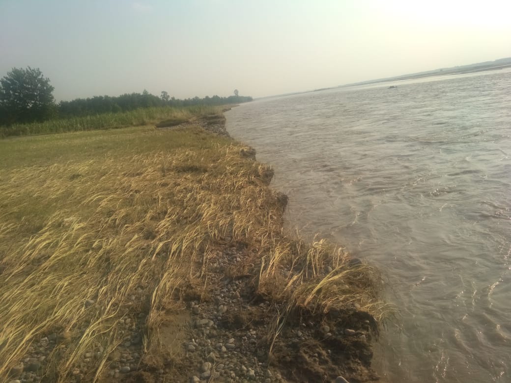 The erosion of the fields is happening even after the water in Yamuna is low