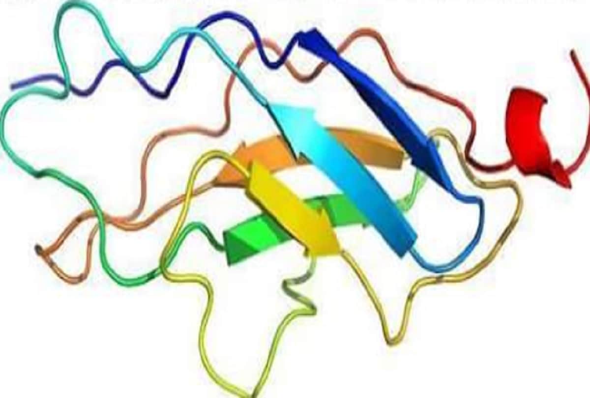 The Longest Word in English Titin Protein Takes 3.5 Hours to Pronounce
