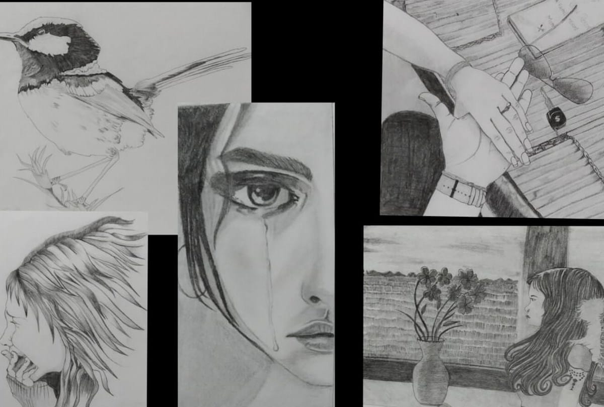 ankita paintings made by pencil nahan sirmour himachal pradesh