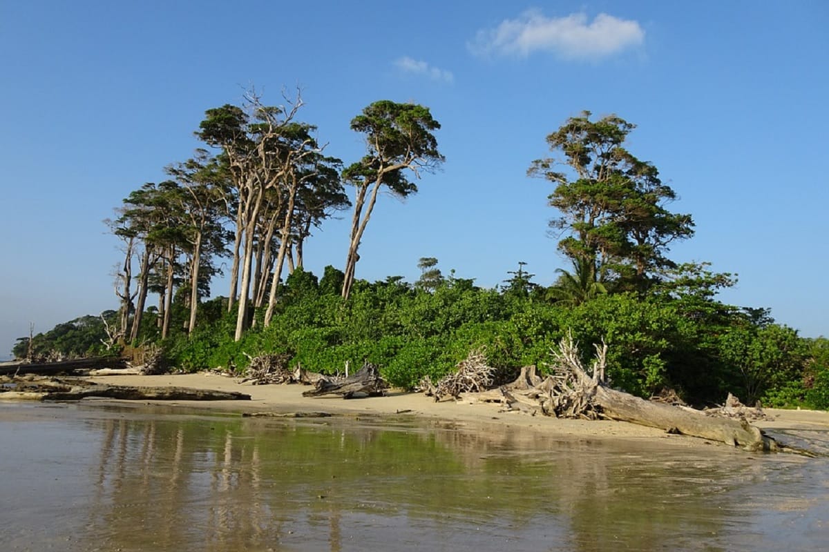 top 5 beach destinations for honeymoon in india