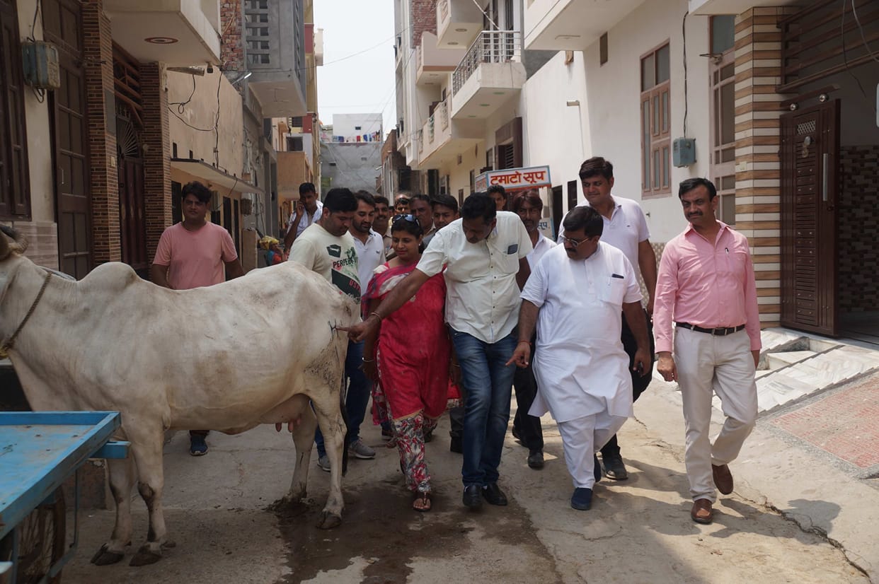 nagar nigam