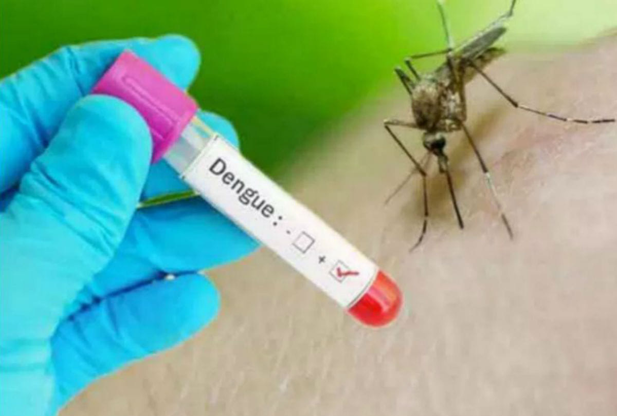 dengue patient found in agra