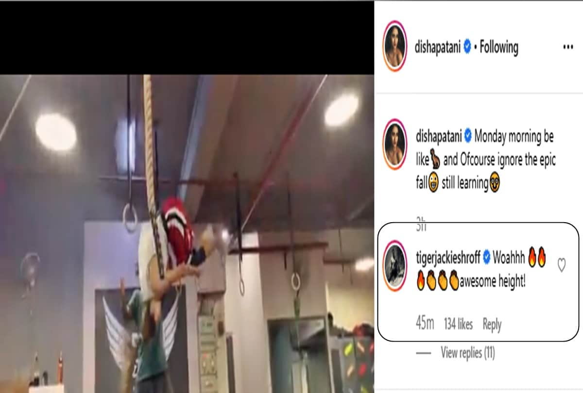 Tiger Shroff comment on Disha patani stunt viral video on instagram