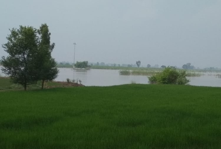 Some Areas of Punjab Affected By Flood Water Who Coming From Pakistan