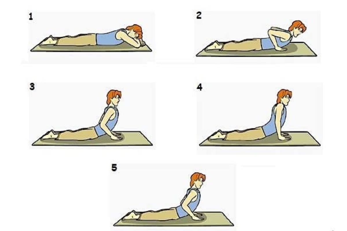practice surya namaskar yoga in daily every morning for better life