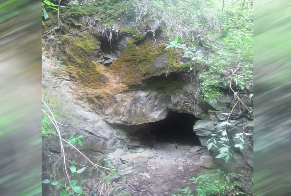 Tunnel Found during Archeology Department survey in Almora built in Katyuri Reign