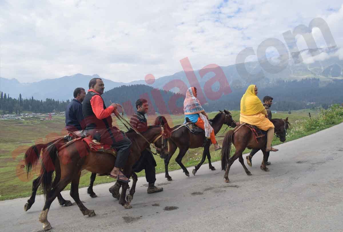 Srinagar situation and Srinagar weather, famous place of Kashmir, jammu kashmir gulmarg news