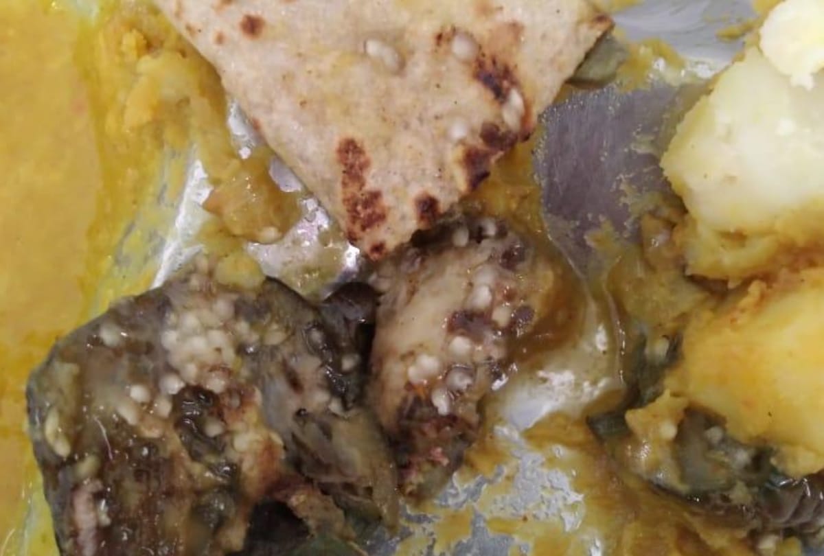 insect in food in kgmu hostel