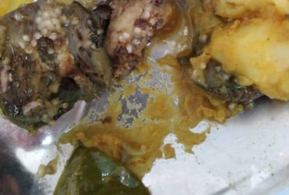 insect in food in kgmu hostel