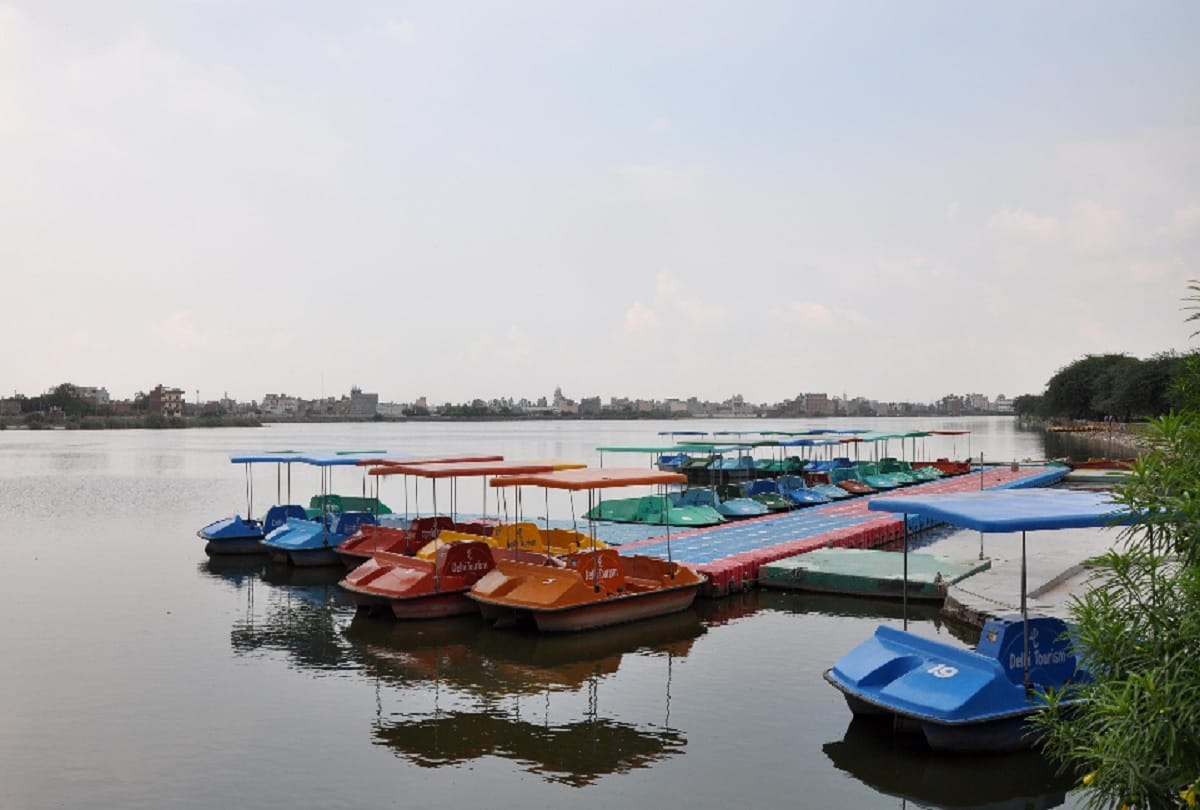 Sick Bhalswa Lake wants official medicine