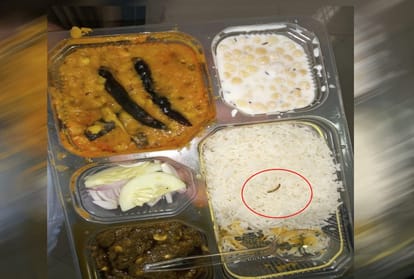 Worms crawling in Restaurant food during health department meeting 