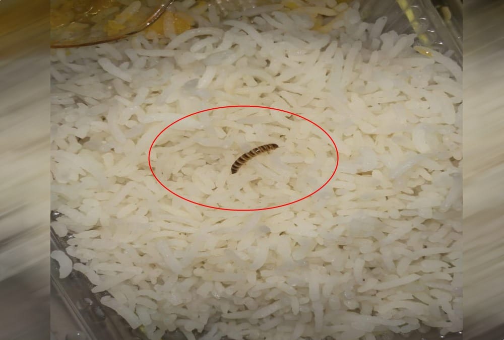 Worms crawling in Restaurant food during health department meeting 