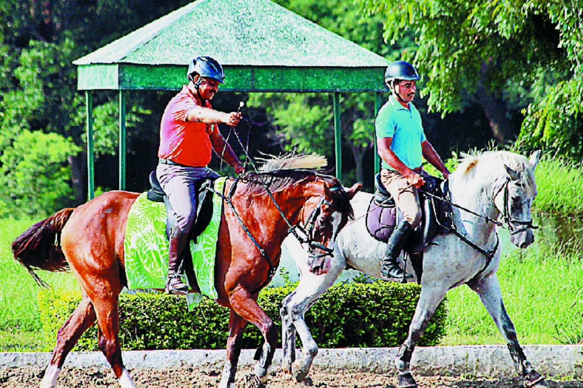 international trials starts in RVC Meerut, do not miss the thrill of horse riding