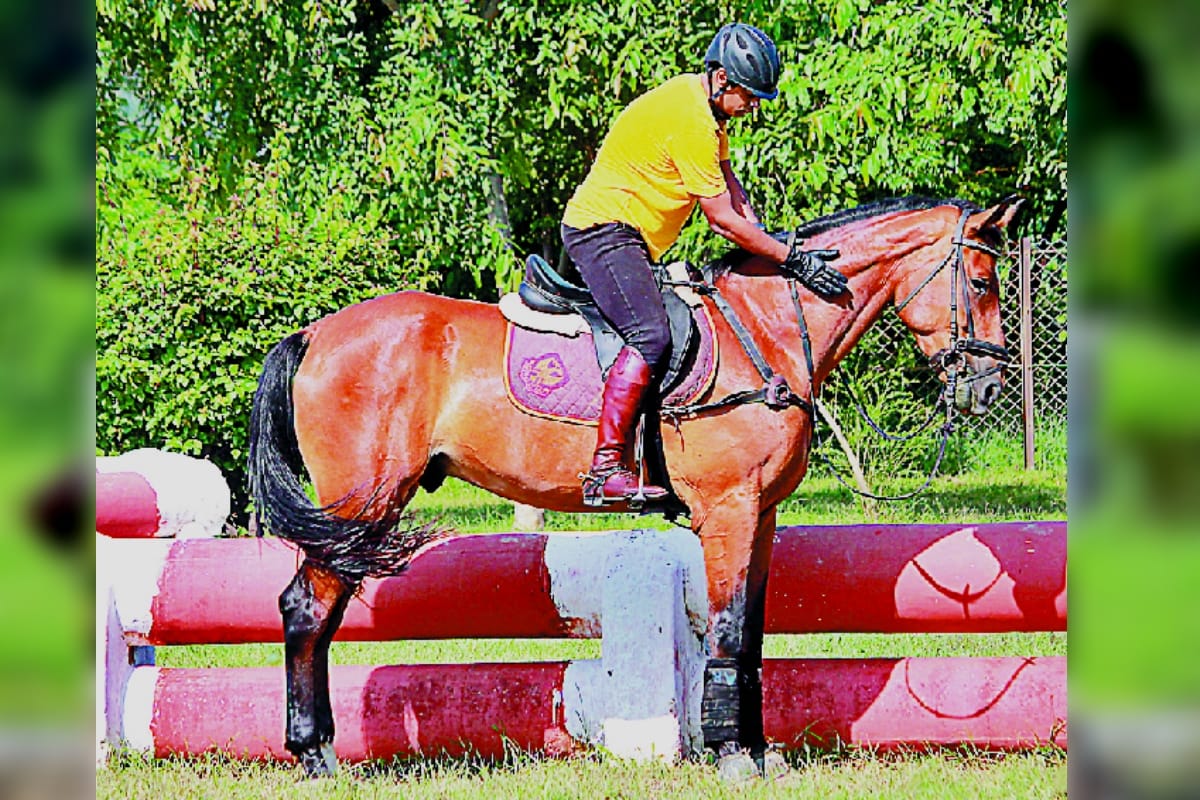 international trials starts in RVC Meerut, do not miss the thrill of horse riding