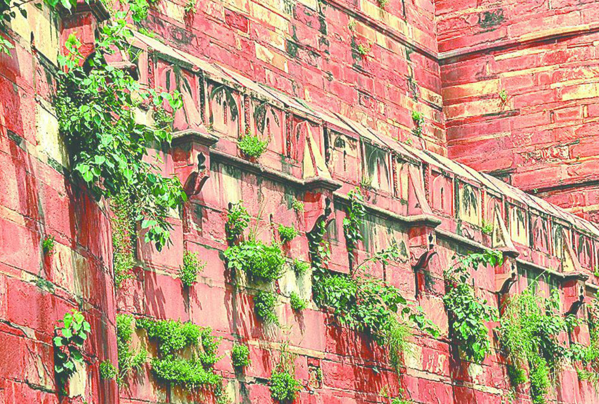 Iconic site of central government agra fort stone colour changed in Black