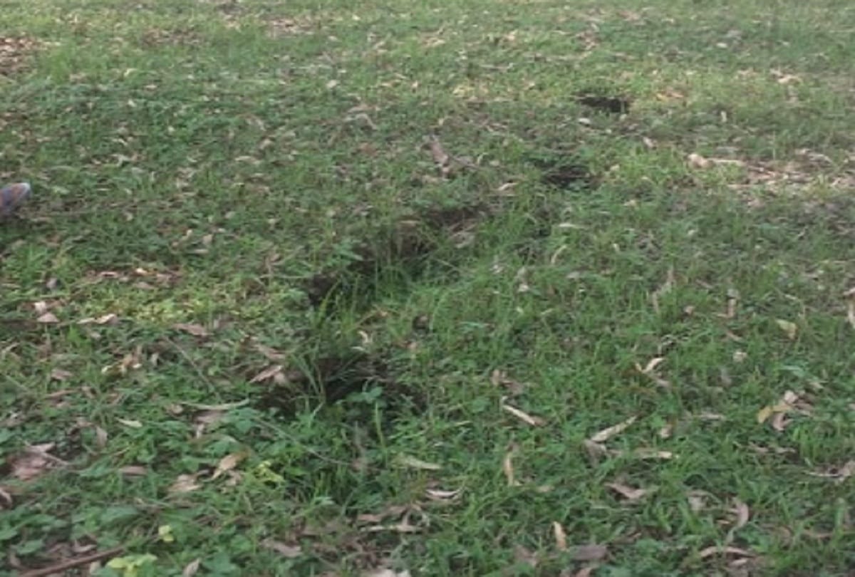 A crack in the land of Dudhwa National Park with a loud voice