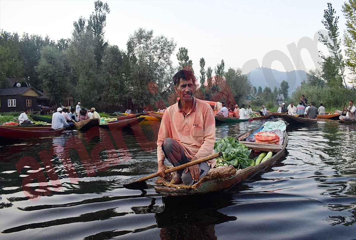 kashmir latest photos of dal lake, latest visuals of jammu kashmir