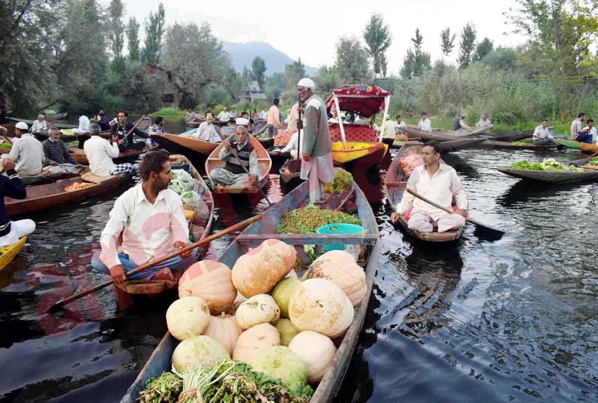 kashmir latest photos of dal lake, latest visuals of jammu kashmir