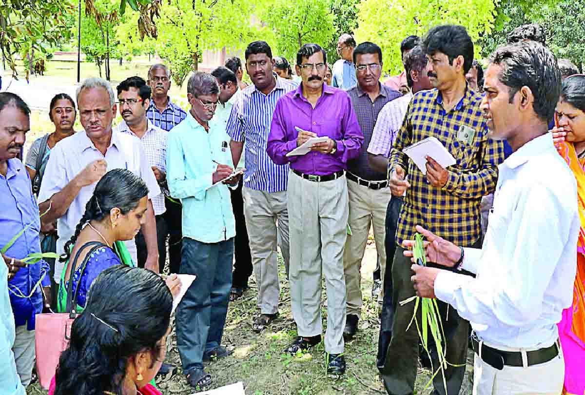 Unemployment will go away in Tamil Nadu from Kannauj's skills
