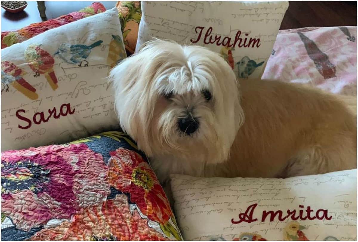 Sara Ali Khan revealed not she and Ibrahim Ali Khan is Amrita Singh Favourite Child