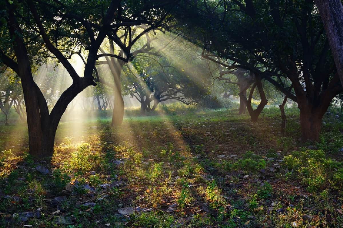an unknown beautiful places dandakaranya bastar related to ramayan era