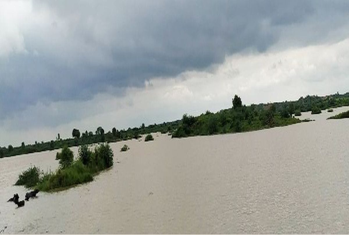 flood situation in bah agra due to water level increasing of chambal river