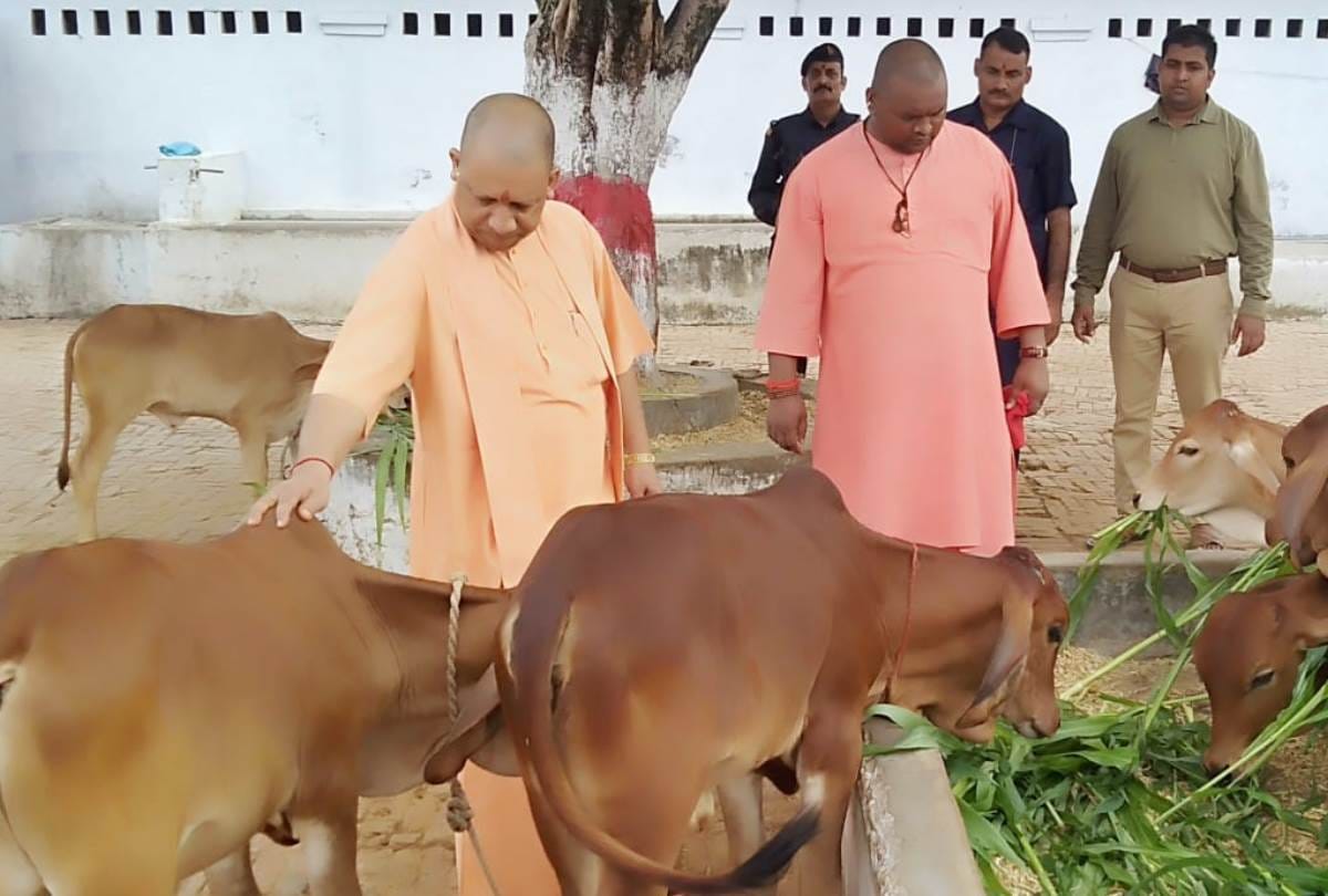 similirities between prime minister narendra modi and chief minister yogi adityanath