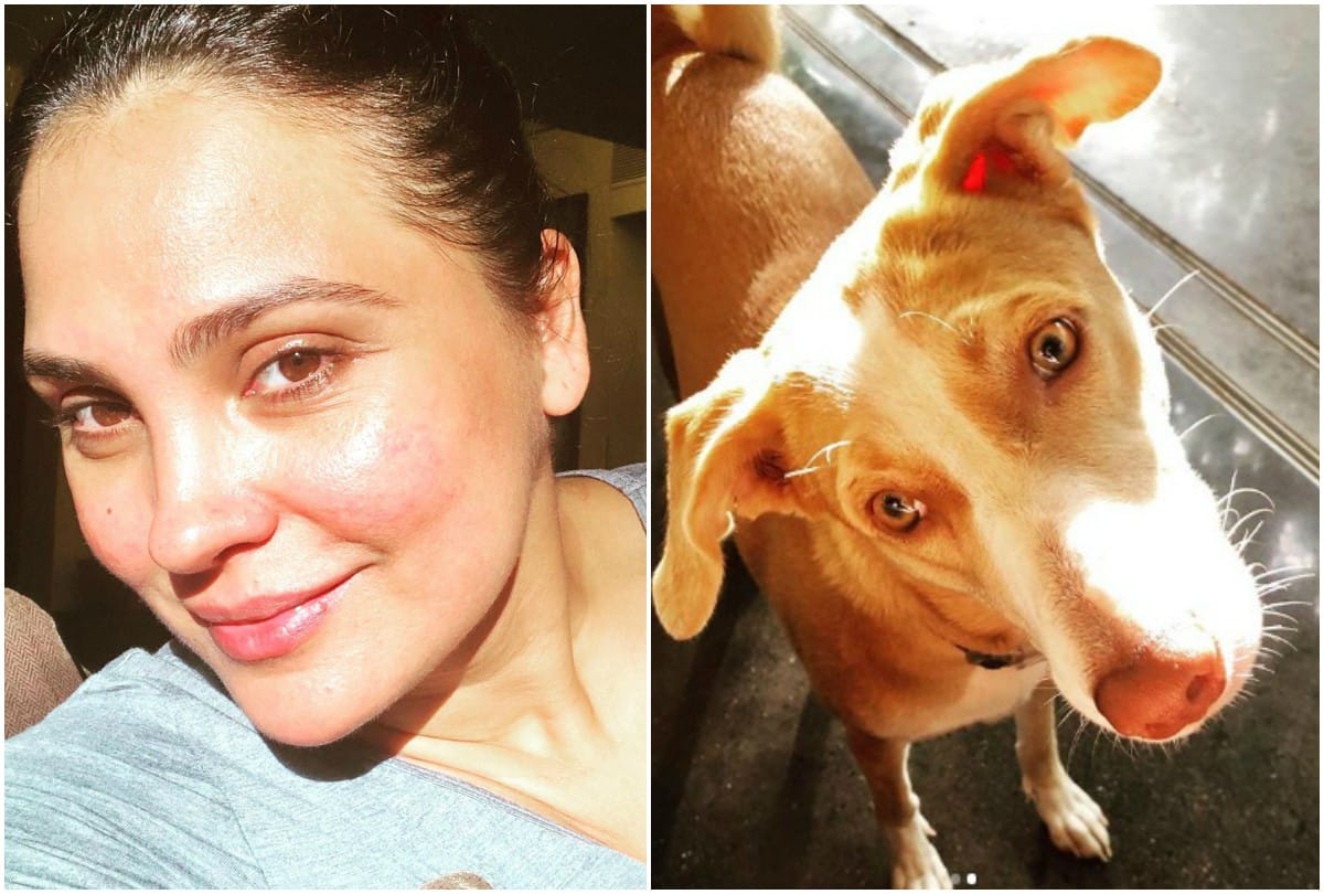 Former Miss Universe Bollywood actress Lara Dutta shared without makeup selfie on Instagram